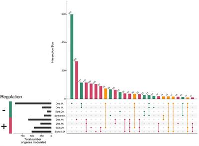 Responses to Hydric Stress in the Seed-Borne Necrotrophic Fungus Alternaria brassicicola